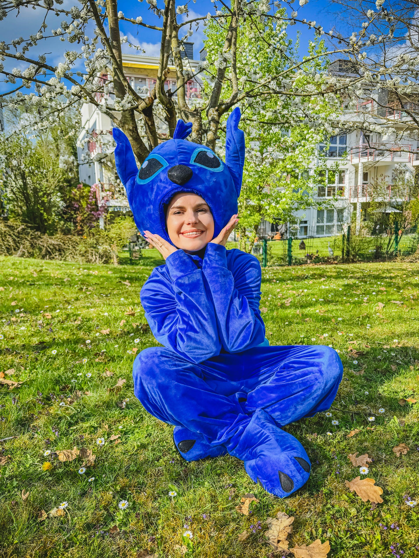 Animator Stitch