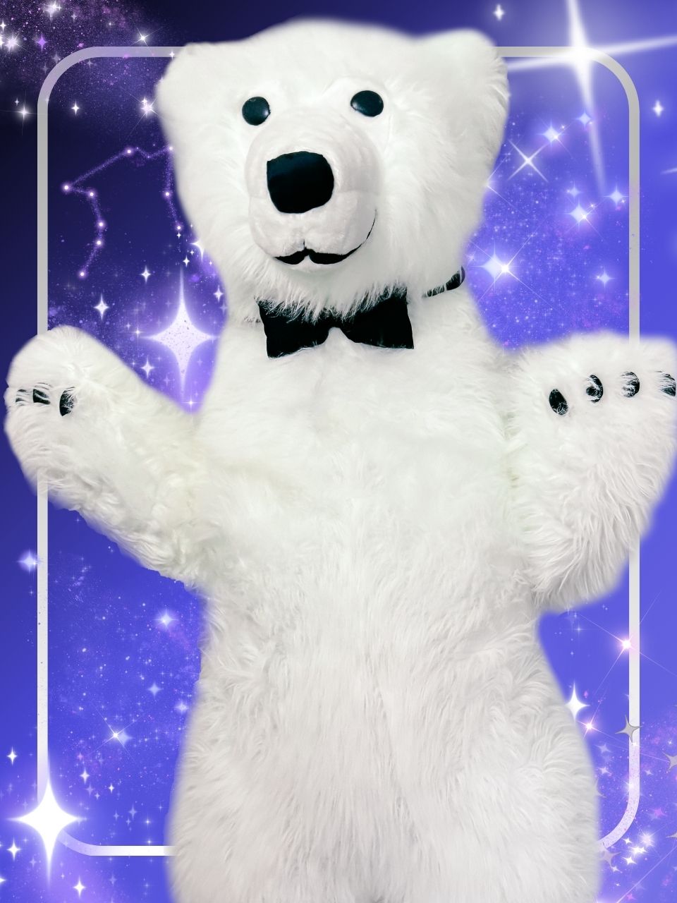 Teddy Bear TEDI, Bear, Life-sized Character Costumesp