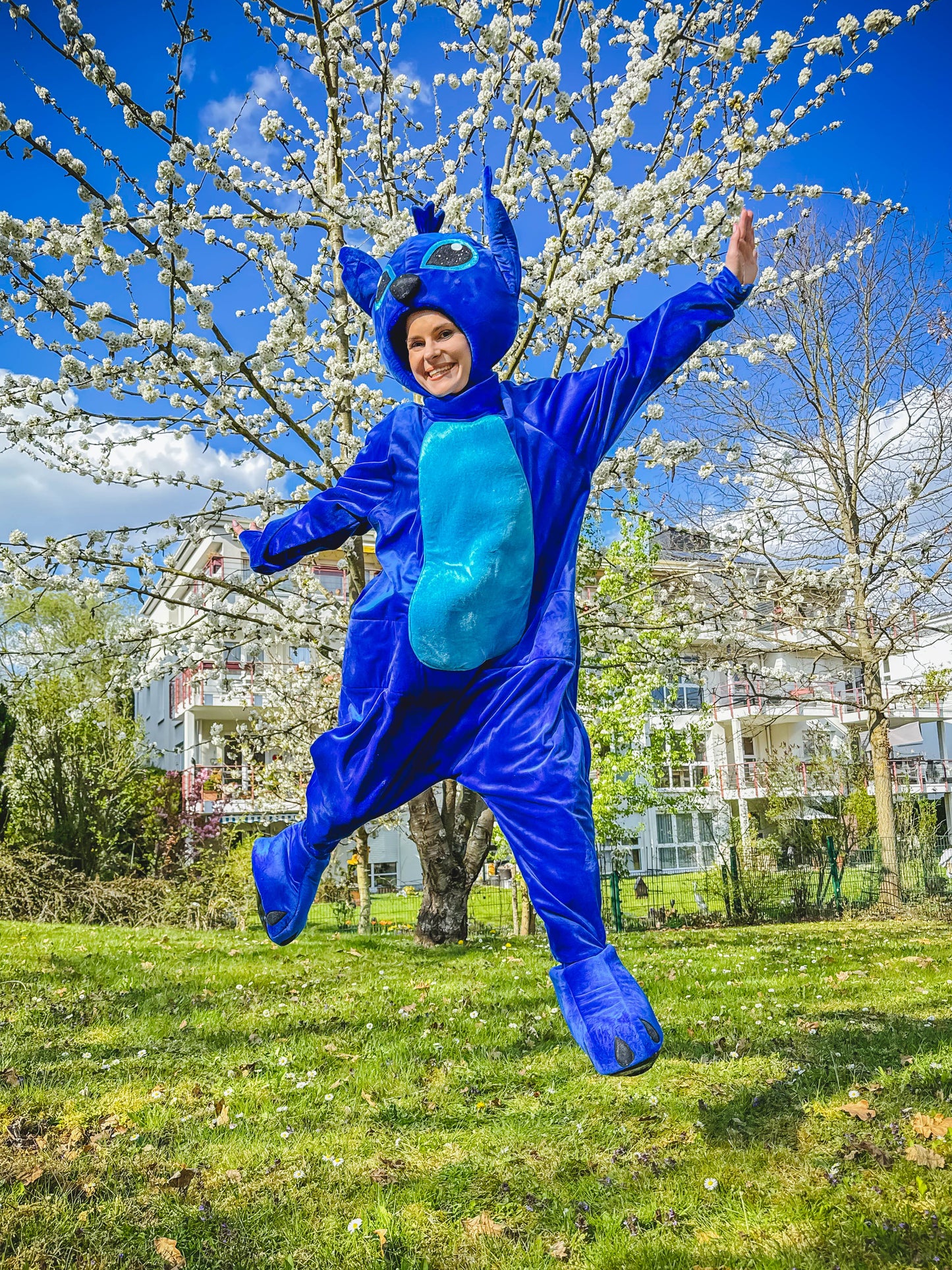 Animator Stitch