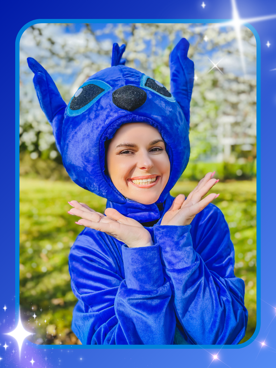 Animator Stitch