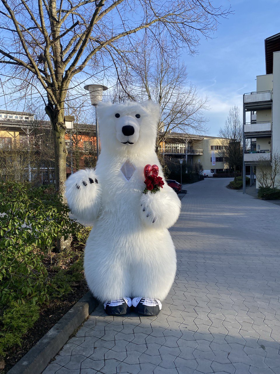 Teddy Bear TEDI, Bear, Life-sized Character Costumesp